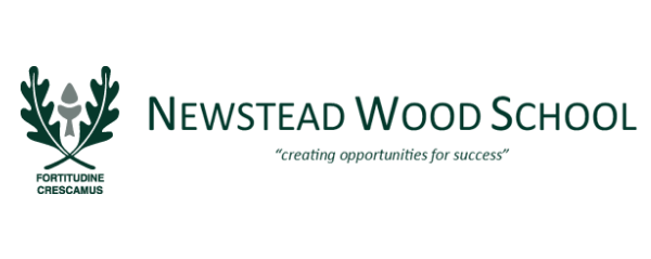 Logo for Newstead Wood School